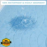 Dahapyboo Washable Underpads 24X36 2PK Incontinence Bed. Fixed Price $27.99.
