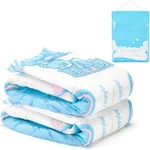 Littleforbig Adult Printed Diaper 2 Pieces Pack 3 Prints Random Assorted - Potty. Fixed Price $21.95.