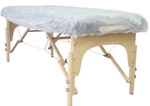 Massage Table Sheetfitted Disposable Waterproof 10 Pieces New Therapists Choice. Fixed Price $22.49.