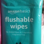Amazon Basics Flushable Wipes Fragrance Free Plant-based 42 Count 6.8X5.3 In. Fixed Price $13.00.