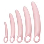 Lyniya 5-PACK Silicone Pelvic Floor Muscle Dilator Trainer Set For Women Lar.... Fixed Price $58.21.