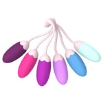 Fenhua Kegel Exercise System Pelvic Floor Strengthening- Set Of 6 Premium. Fixed Price $14.95.