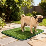 Puppy Dog Pet Potty Training Pee Pad Mat Grass House Toilet Indoor Washable. Fixed Price $9.56.