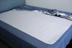 Careboree Bed For Incontinence Reusable Underpad 36 X72 Fits King Lar.... Fixed Price $59.99.